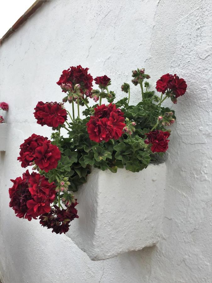 Casa Las Torres B&B Иснате Экстерьер фото
